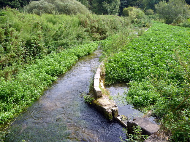 Traditional watercress beds