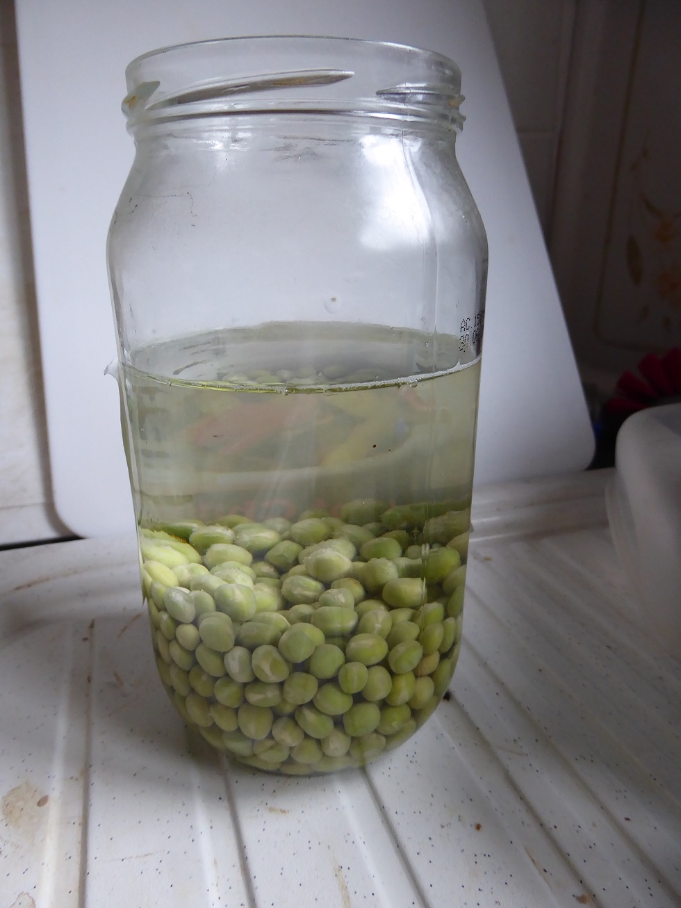 Basic growing peas in a large glass jar